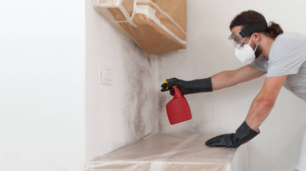 Professional Attic Mold Removal technician working in Naples, FL